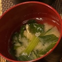 チンゲン菜の味噌汁